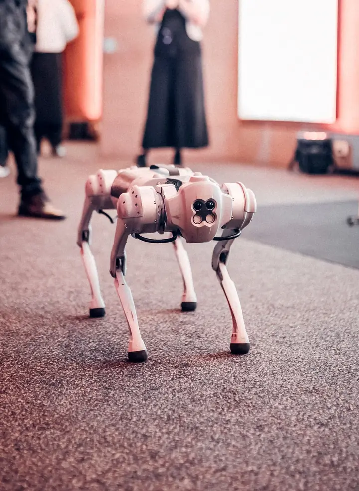 Robotaxis, robots and drones
