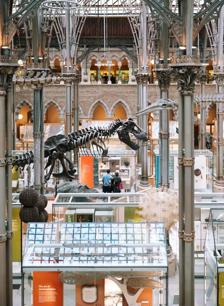 Shenzhen Natural History Museum