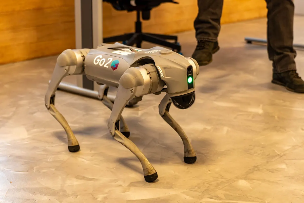 Stock photograph of a four-legged robot dog standing indoors.